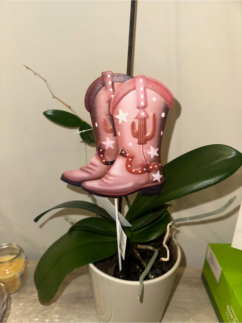 N/A pink cowboy